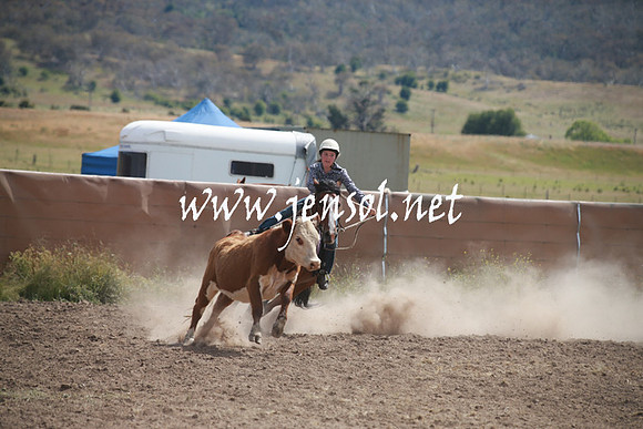 AdaminabyCampdraftSun_0219