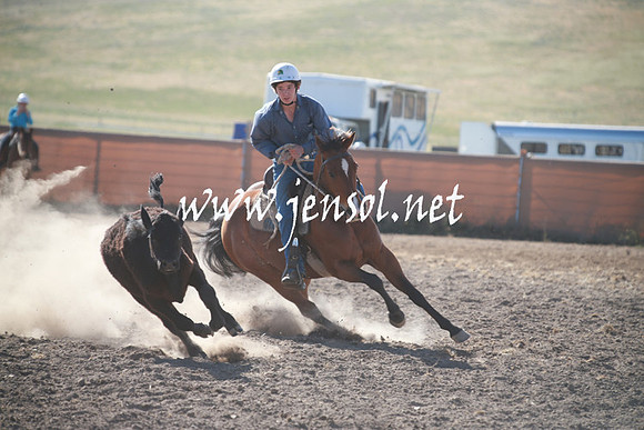 AdaminabyCampdraftSun_0090