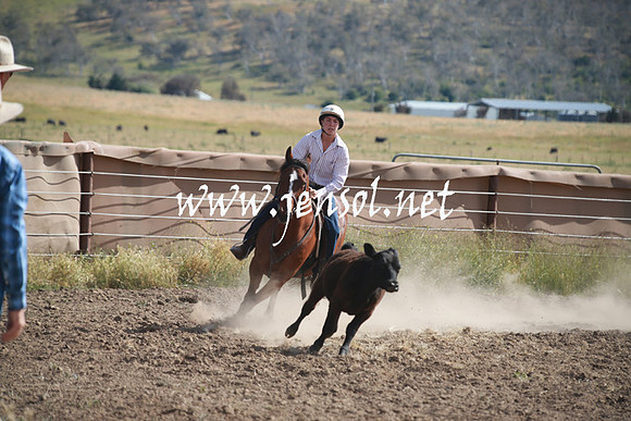 AdaminabyCampdraftSun_0150