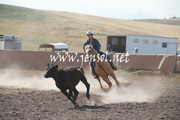 AdaminabyCampdraftSun_0147