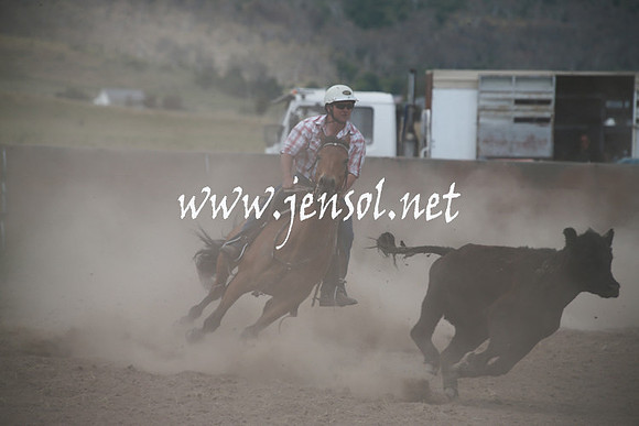AdaminabyCampdraftSun_0256