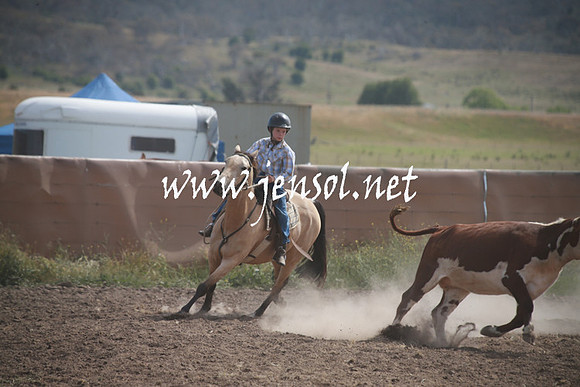 AdaminabyCampdraftSun_0203
