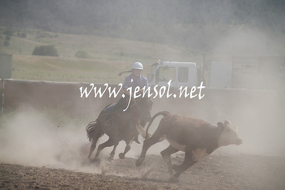 AdaminabyCampdraftSun_0193