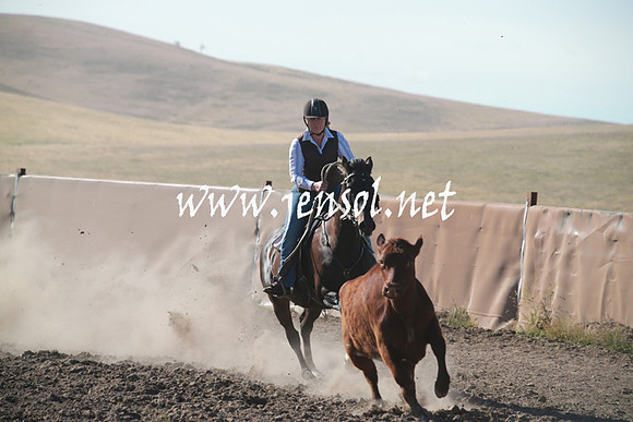 AdaminabyCampdraftSun_0027