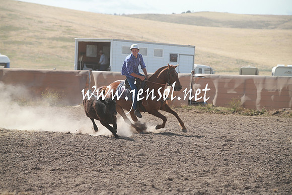 AdaminabyCampdraftSun_0159