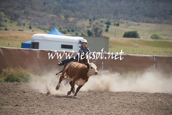 AdaminabyCampdraftSun_0221