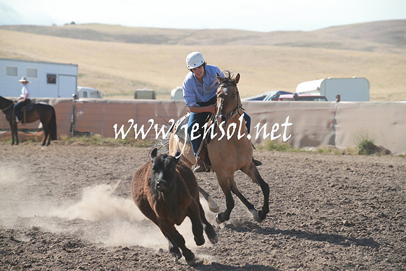 AdaminabyCampdraftSun_0117