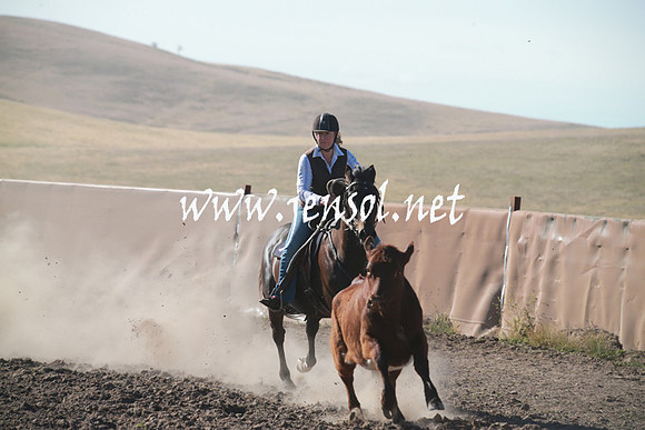 AdaminabyCampdraftSun_0028