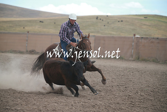 AdaminabyCampdraftSun_0320
