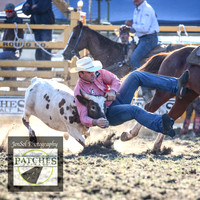 QueanbeyanRodeo2018_7532