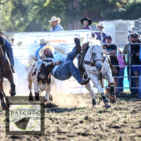 QueanbeyanRodeo2018_7461