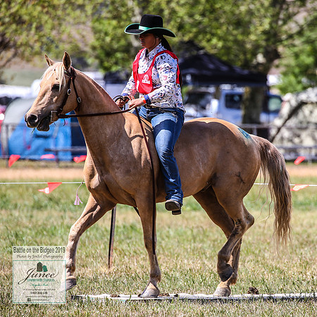 BOB2019_1868