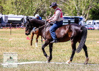BOB2019_1631