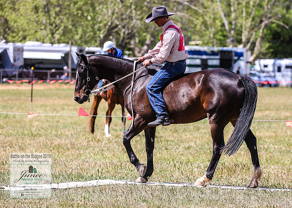 BOB2019_1631
