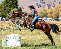 BOB2019_1786