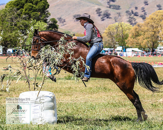 BOB2019_1786