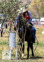 BOB2019_1743