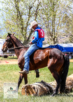 BOB2019_1741