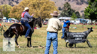 BOB2019_1759