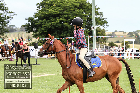 MiltonShow2018_3358