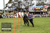 MiltonShow2018_3617