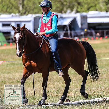 BOB2019_1974