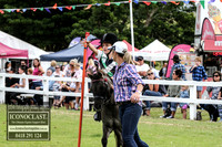 MiltonShow2018_3415