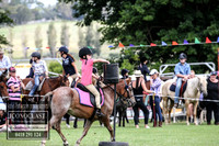 MiltonShow2018_3523