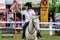 MiltonShow2018_3074