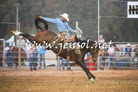 TumutRodeo2016Two_5533