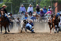 QueanbeyanRodeo2015_1856