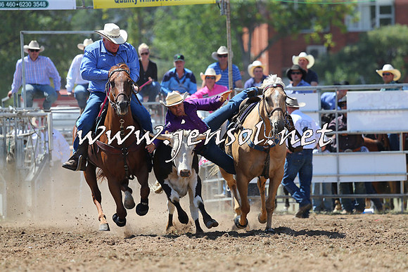 QueanbeyanRodeo2015_1868