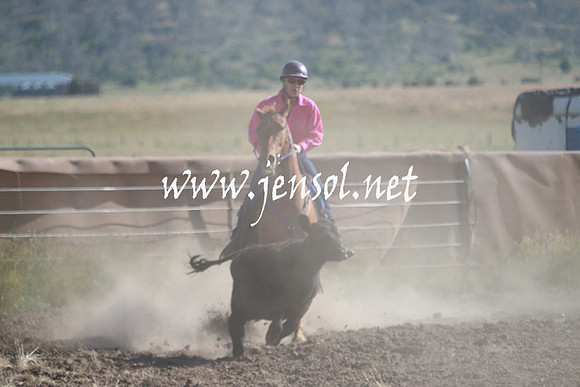 AdaminabyCampdraft_0079