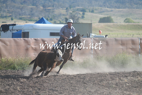 AdaminabyCampdraft_0016