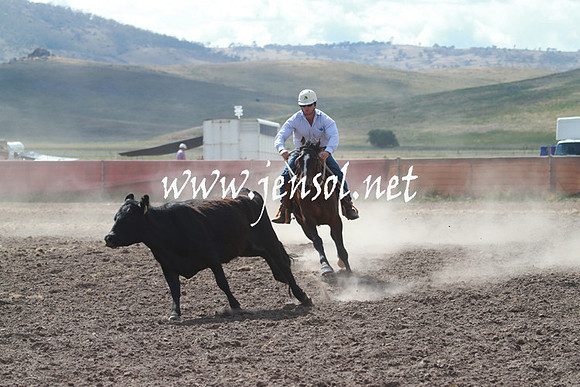 AdaminabyCampdraft_0237