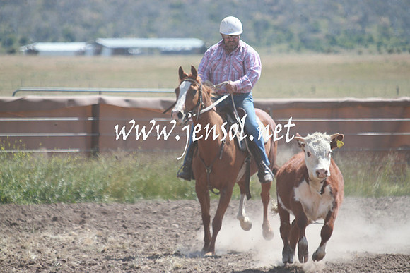 AdaminabyCampdraft_0331