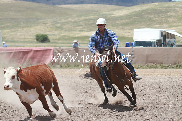 AdaminabyCampdraft_0550