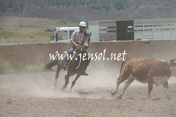 AdaminabyCampdraft_0447
