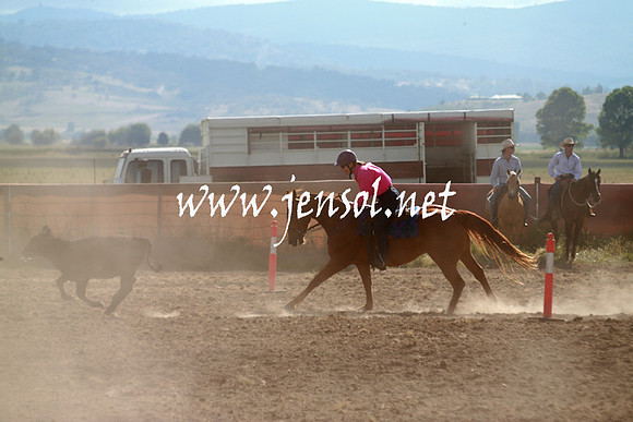 AdaminabyCampdraft_0142