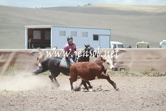 AdaminabyCampdraft_0525