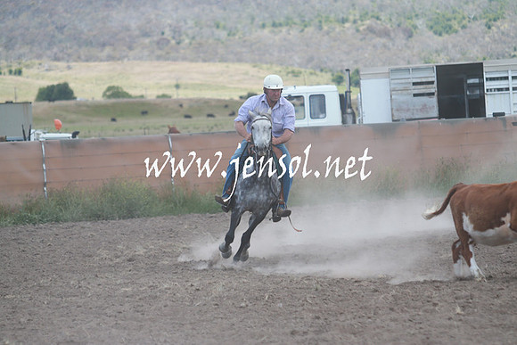 AdaminabyCampdraft_0521