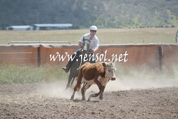 AdaminabyCampdraft_0439