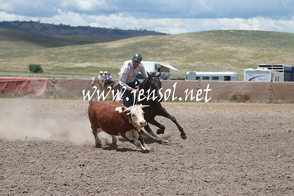 AdaminabyCampdraft_0557