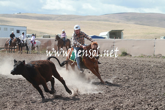 AdaminabyCampdraft_0228