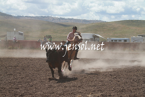 AdaminabyCampdraft_0319