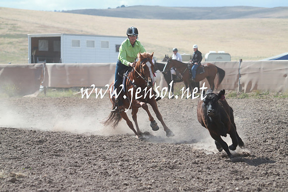 AdaminabyCampdraft_0204