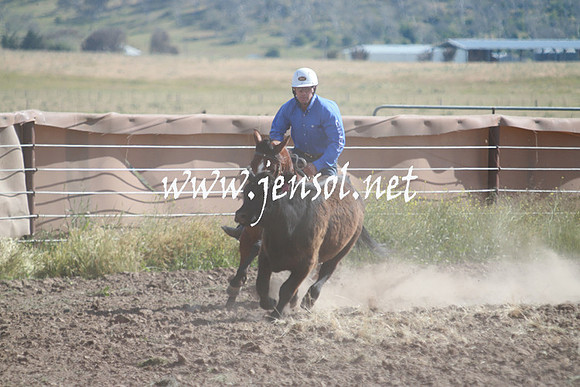 AdaminabyCampdraft_0145