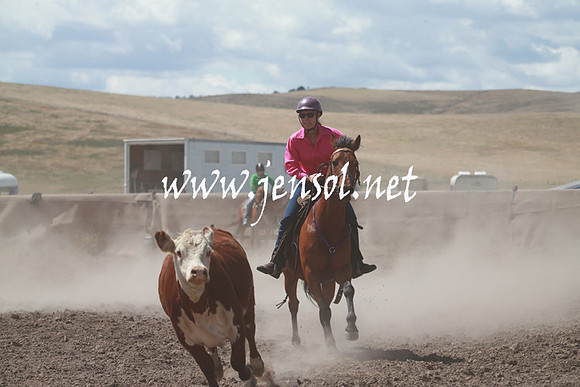 AdaminabyCampdraft_0385
