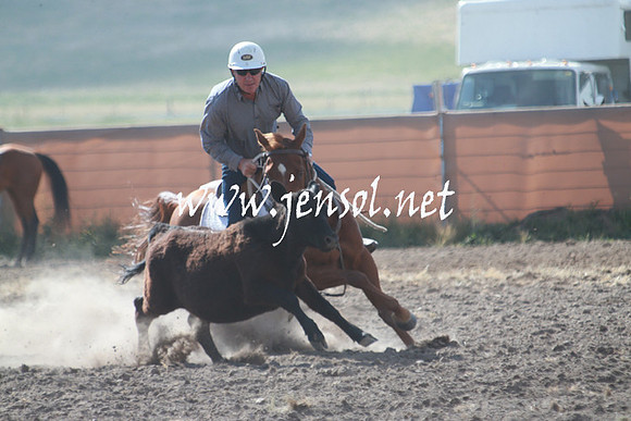 AdaminabyCampdraft_0116