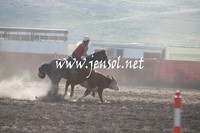 AdaminabyCampdraft_0008